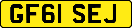 GF61SEJ