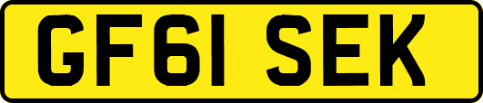 GF61SEK