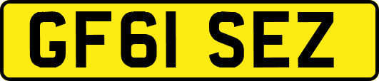 GF61SEZ