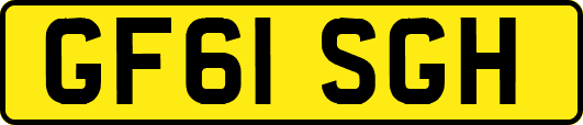 GF61SGH