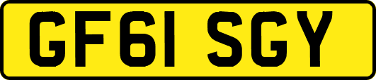 GF61SGY