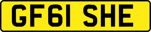 GF61SHE