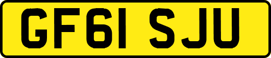 GF61SJU