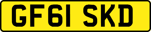 GF61SKD