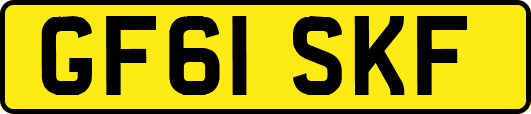 GF61SKF