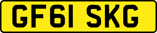 GF61SKG