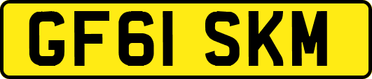 GF61SKM
