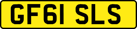GF61SLS