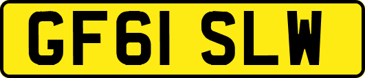 GF61SLW