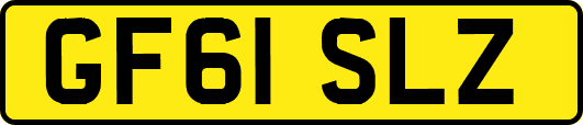 GF61SLZ