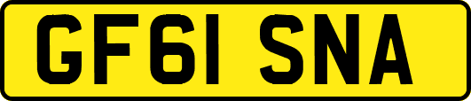 GF61SNA