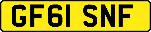 GF61SNF