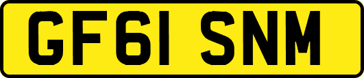 GF61SNM