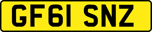 GF61SNZ