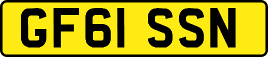 GF61SSN