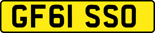 GF61SSO