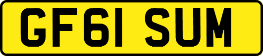 GF61SUM