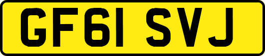 GF61SVJ