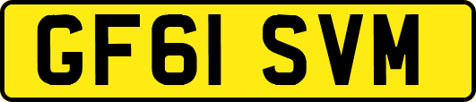 GF61SVM