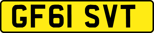 GF61SVT