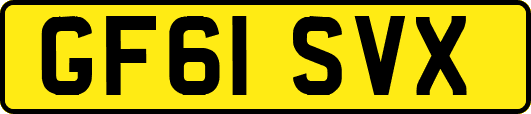 GF61SVX