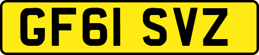 GF61SVZ