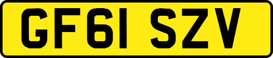 GF61SZV