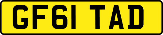 GF61TAD