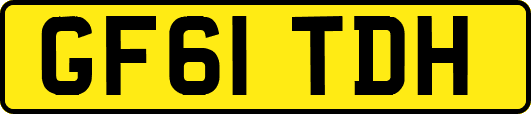 GF61TDH
