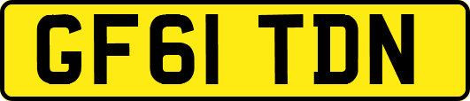 GF61TDN