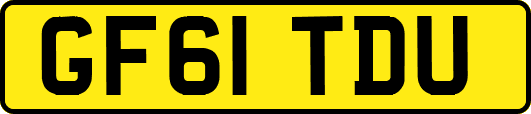 GF61TDU