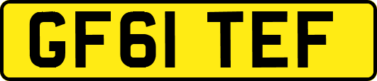 GF61TEF