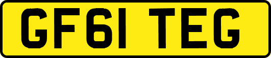 GF61TEG