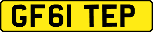 GF61TEP
