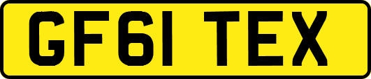 GF61TEX