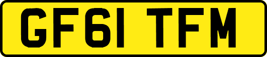 GF61TFM
