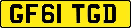 GF61TGD
