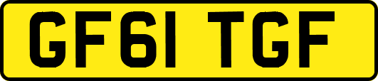 GF61TGF