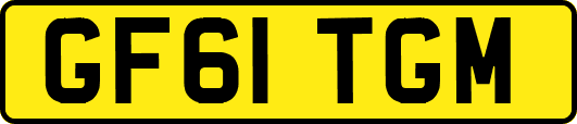 GF61TGM