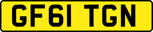 GF61TGN