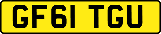 GF61TGU