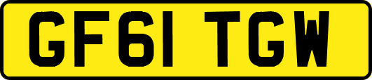 GF61TGW