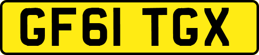 GF61TGX