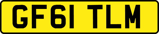 GF61TLM