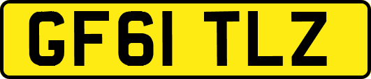 GF61TLZ