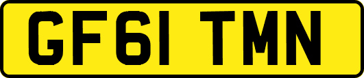 GF61TMN