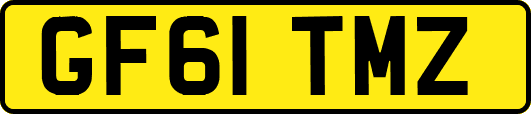 GF61TMZ