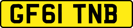 GF61TNB
