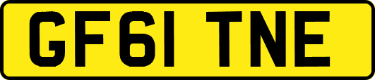 GF61TNE