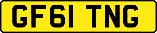 GF61TNG